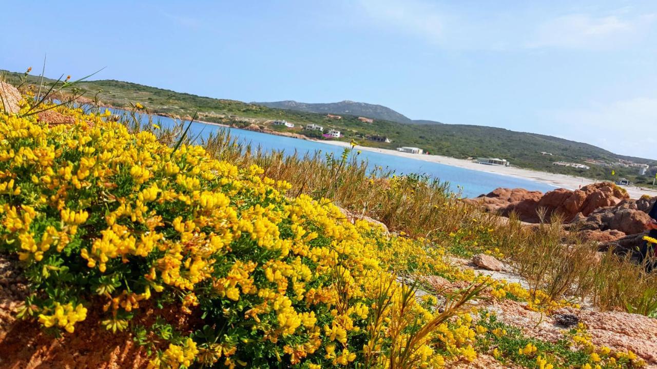 Casa Vacanza Costa Rossa Vista Mare Trinità dʼAgultu Kültér fotó